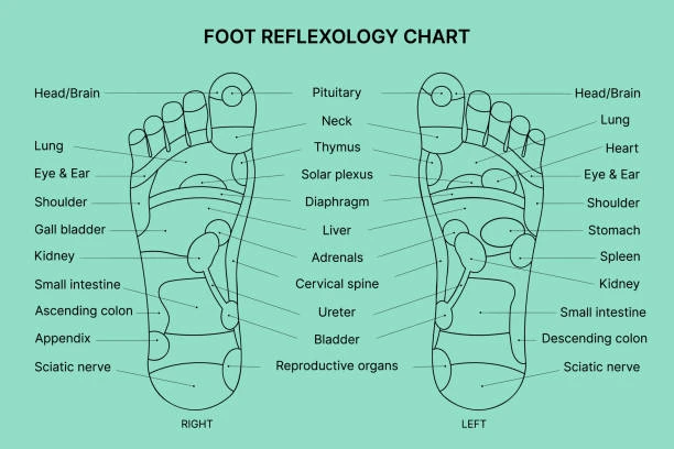 Reflexologia podal spa