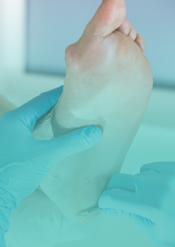 Limpeza <br> Plantar